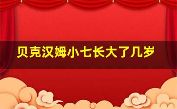 贝克汉姆小七长大了几岁