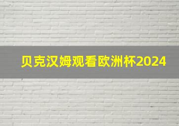 贝克汉姆观看欧洲杯2024