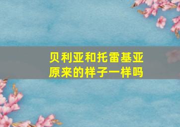 贝利亚和托雷基亚原来的样子一样吗