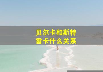 贝尔卡和斯特雷卡什么关系