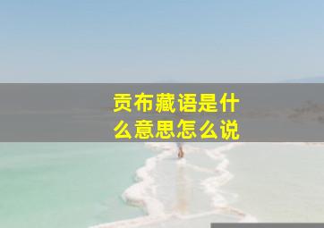 贡布藏语是什么意思怎么说