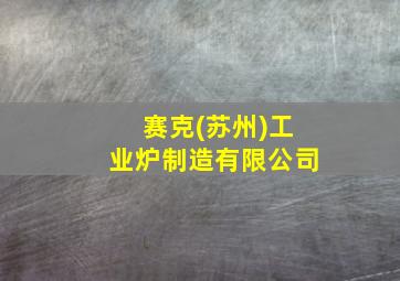 赛克(苏州)工业炉制造有限公司