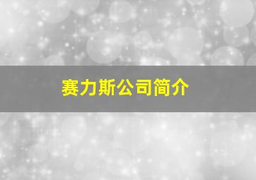 赛力斯公司简介