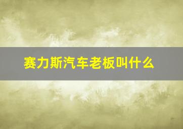 赛力斯汽车老板叫什么