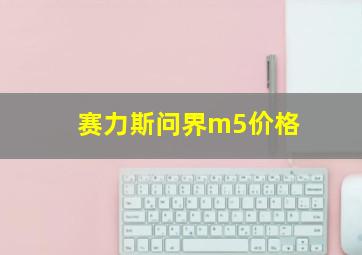 赛力斯问界m5价格