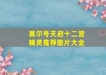 赛尔号天启十二宫精灵推荐图片大全