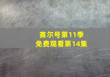 赛尔号第11季免费观看第14集