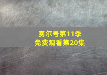 赛尔号第11季免费观看第20集