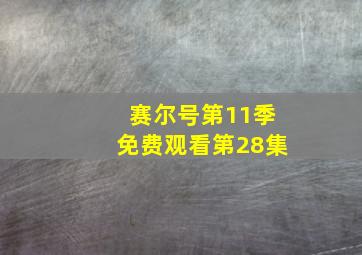 赛尔号第11季免费观看第28集