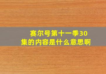 赛尔号第十一季30集的内容是什么意思啊