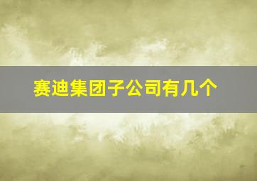 赛迪集团子公司有几个