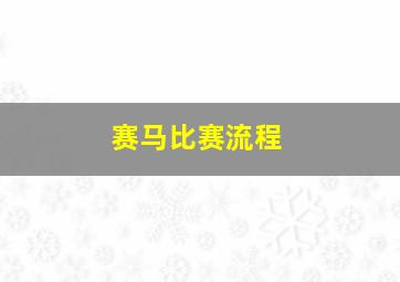 赛马比赛流程