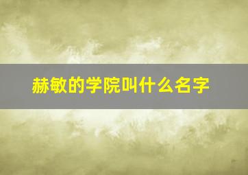 赫敏的学院叫什么名字