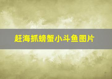 赶海抓螃蟹小斗鱼图片