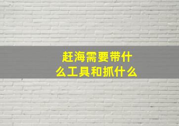 赶海需要带什么工具和抓什么