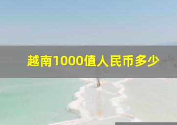 越南1000值人民币多少