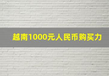 越南1000元人民币购买力