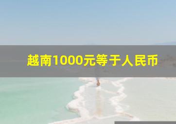 越南1000元等于人民币