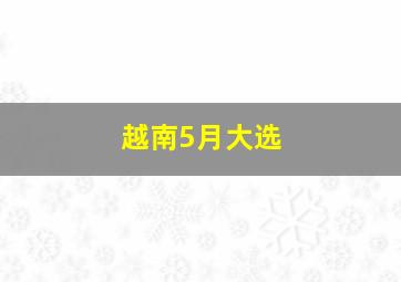 越南5月大选