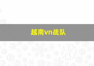 越南vn战队