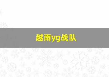 越南yg战队