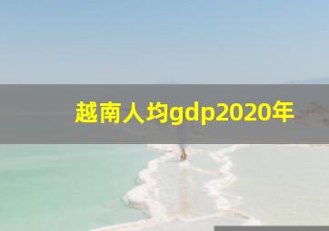 越南人均gdp2020年