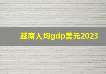 越南人均gdp美元2023