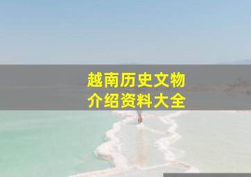 越南历史文物介绍资料大全