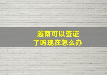 越南可以签证了吗现在怎么办