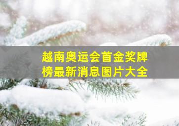 越南奥运会首金奖牌榜最新消息图片大全