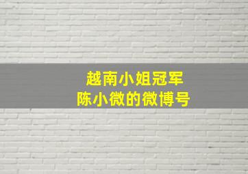 越南小姐冠军陈小微的微博号