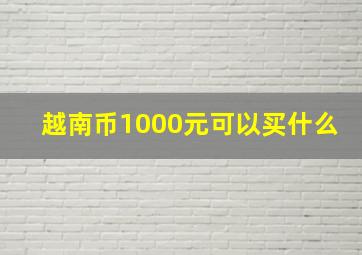 越南币1000元可以买什么