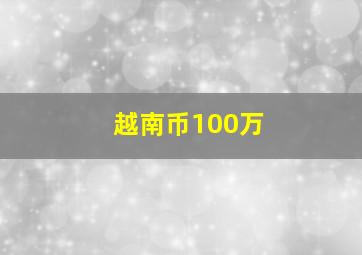 越南币100万