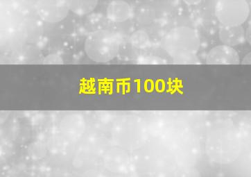 越南币100块