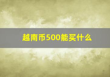 越南币500能买什么