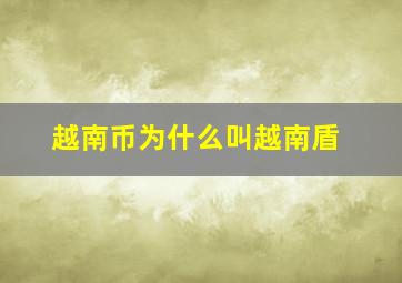 越南币为什么叫越南盾