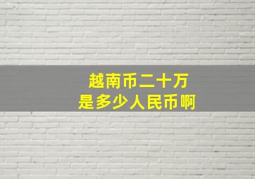 越南币二十万是多少人民币啊