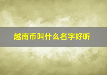 越南币叫什么名字好听