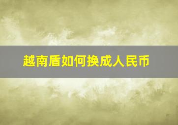 越南盾如何换成人民币