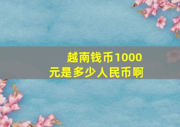 越南钱币1000元是多少人民币啊