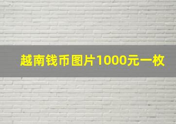 越南钱币图片1000元一枚