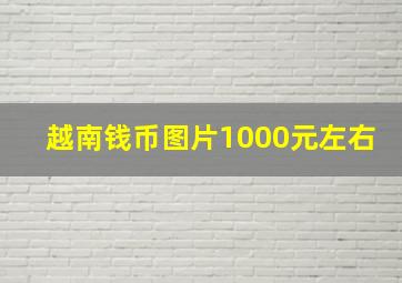 越南钱币图片1000元左右