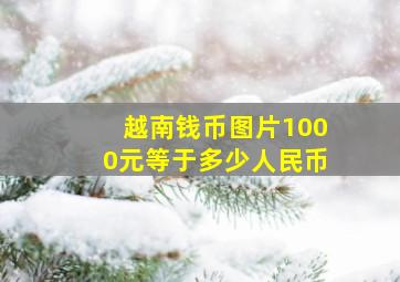 越南钱币图片1000元等于多少人民币