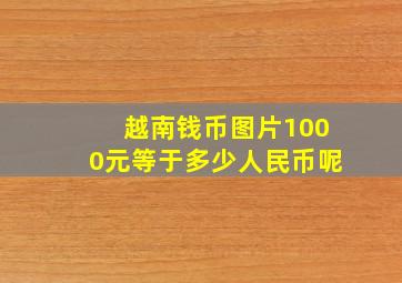 越南钱币图片1000元等于多少人民币呢