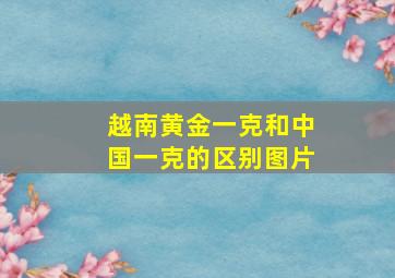 越南黄金一克和中国一克的区别图片