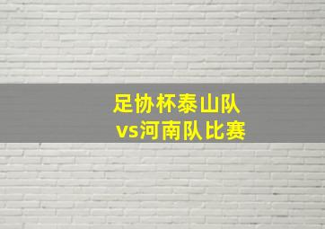 足协杯泰山队vs河南队比赛