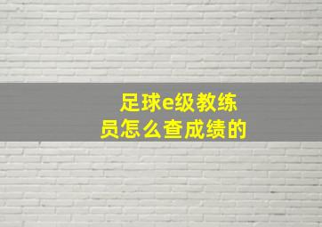 足球e级教练员怎么查成绩的