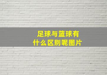 足球与篮球有什么区别呢图片