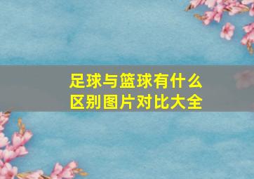 足球与篮球有什么区别图片对比大全