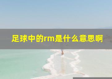 足球中的rm是什么意思啊